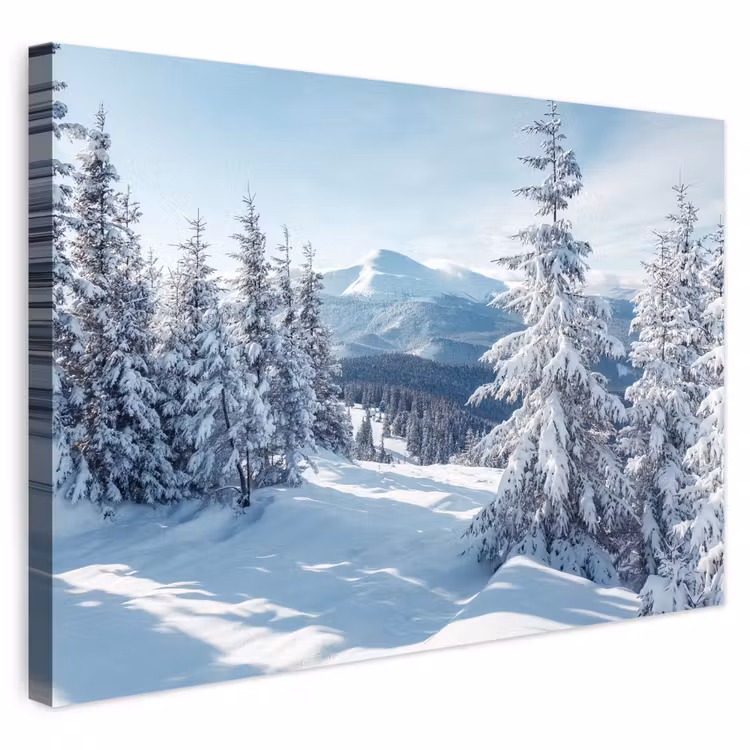 Buiten canvas - Winterlandschap - Natuur - Berg - Bomen - Sneeuw — 1