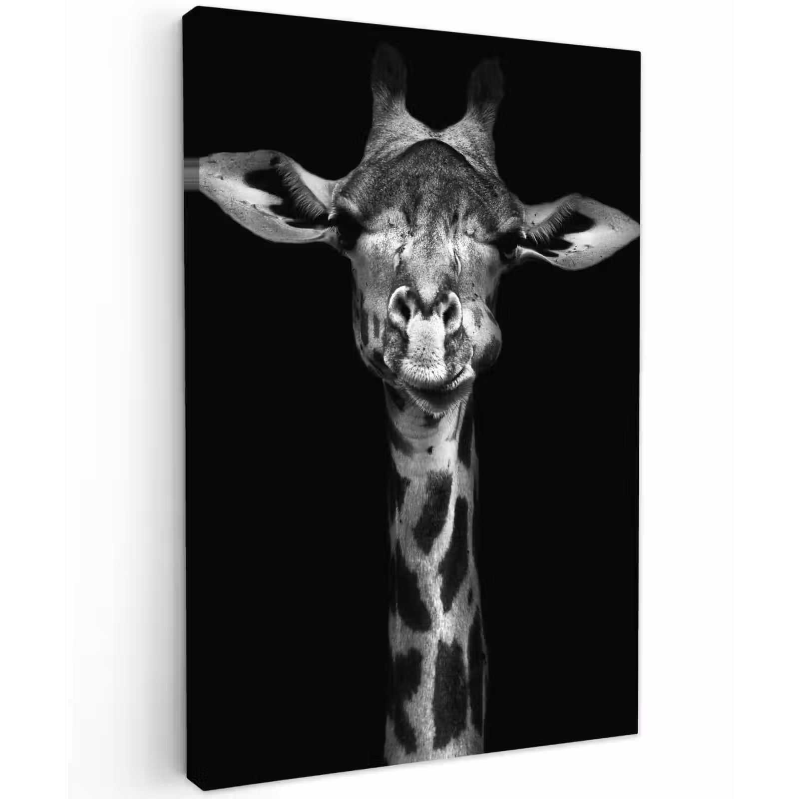 Buiten canvas - Zwart-wit portret van een giraffe — 1