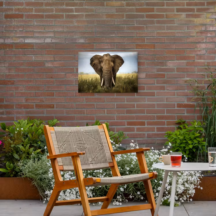 Buiten canvas - Olifant in de savanne — 2