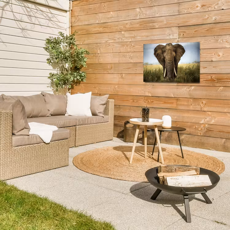 Buiten canvas - Olifant in de savanne — 5