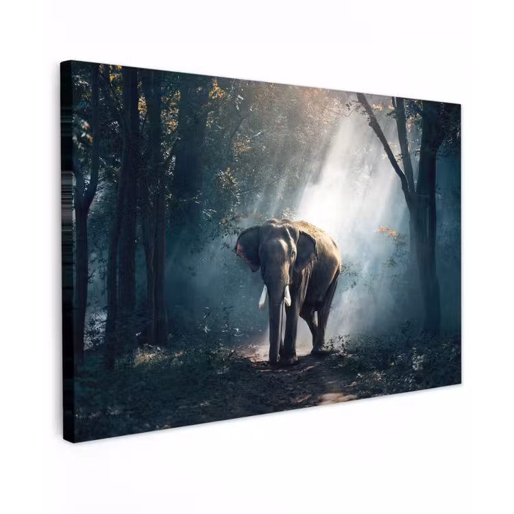 Buiten canvas - Olifant in mystiek bos — 1