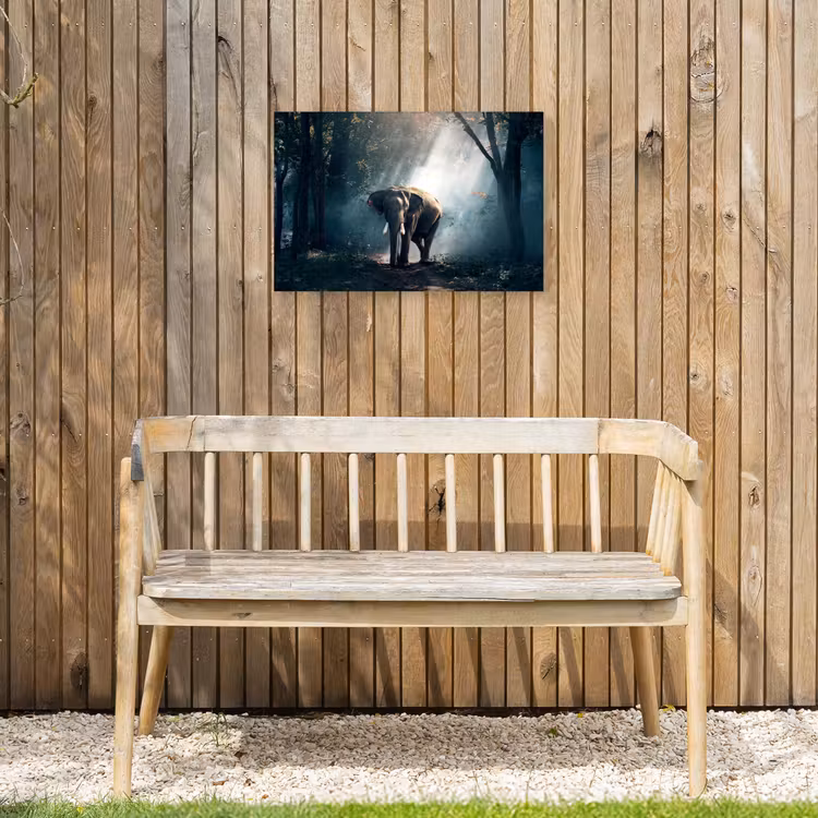 Buiten canvas - Olifant in mystiek bos — 3