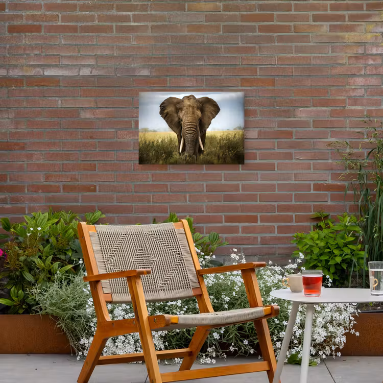 Buiten canvas - Olifant - Natuur - Gras - Dieren - Landschap — 2