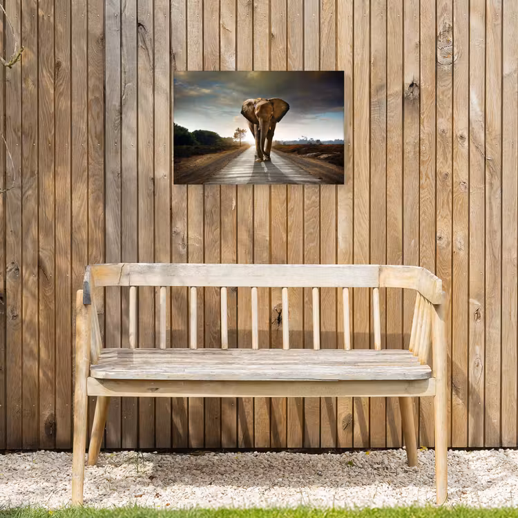 Buiten canvas - Olifant op een verlaten weg — 3