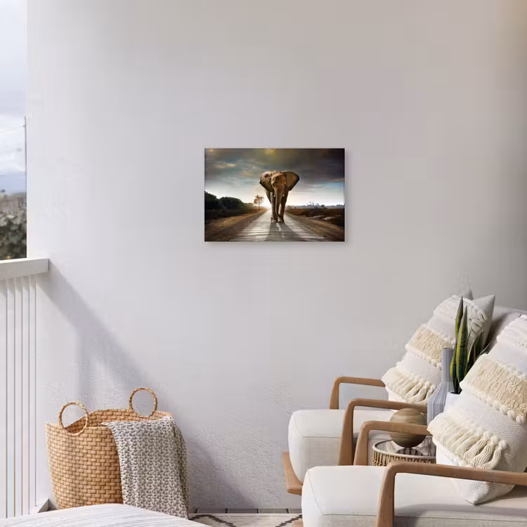 Buiten canvas - Olifant op een verlaten weg — 4