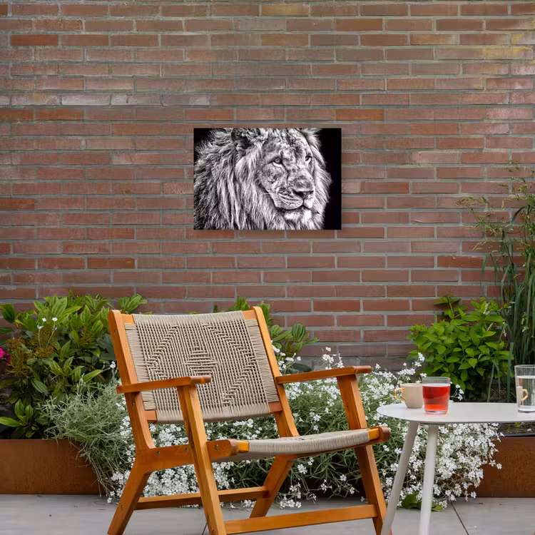 Buiten canvas - Portret - Leeuw - Zwart wit — 2