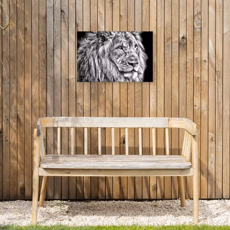 Buiten canvas - Portret - Leeuw - Zwart wit — 3