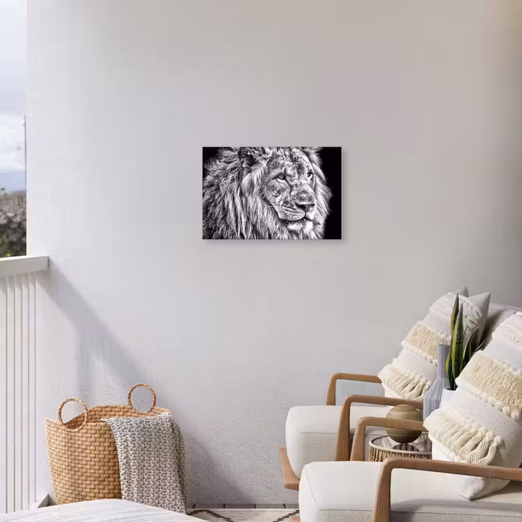 Buiten canvas - Portret - Leeuw - Zwart wit — 4