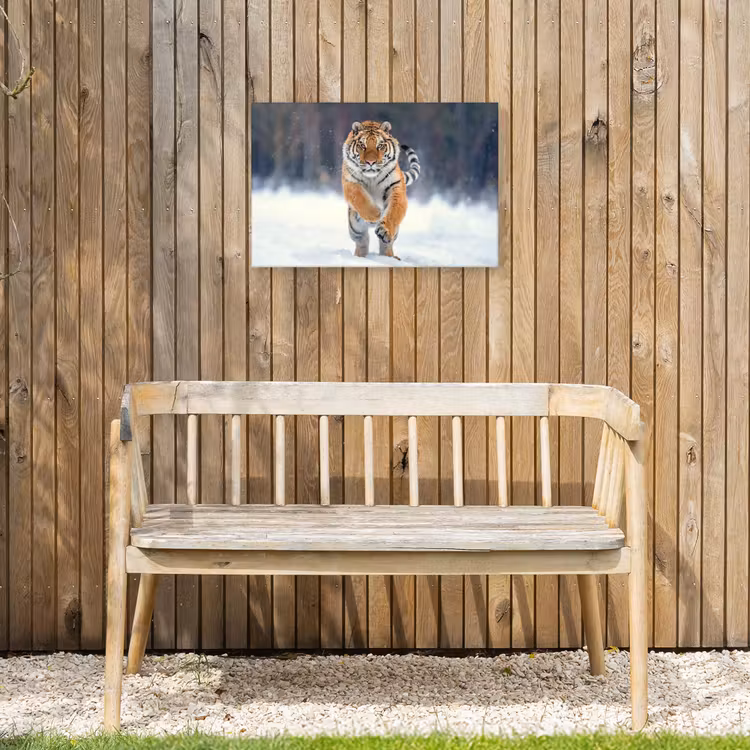 Buiten canvas - Tijger - Landschap - Sneeuw - Winter - Dieren — 3