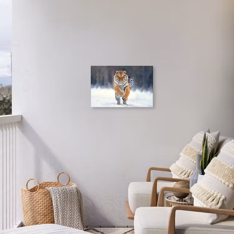 Buiten canvas - Tijger - Landschap - Sneeuw - Winter - Dieren — 4