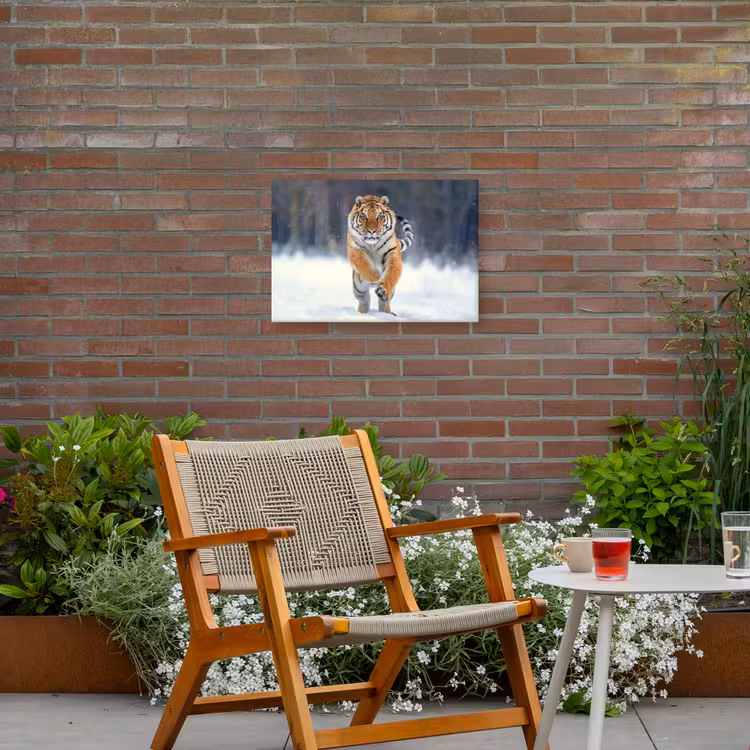 Buiten canvas - Tijger rennend door de sneeuw — 2