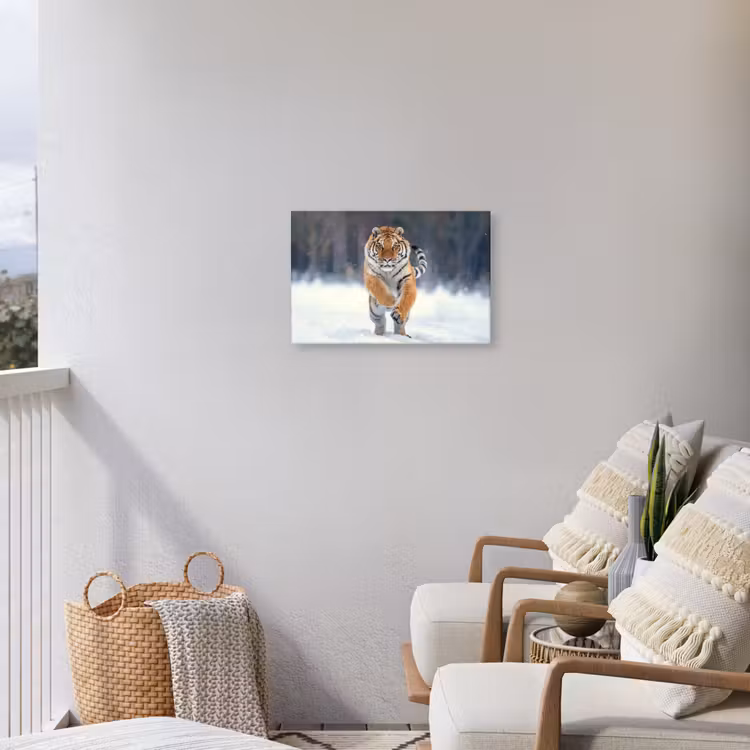 Buiten canvas - Tijger rennend door de sneeuw — 4