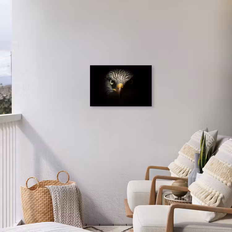 Buiten canvas - Vogel - Adelaar - Roofvogels - Oog - Snavel - Licht — 4