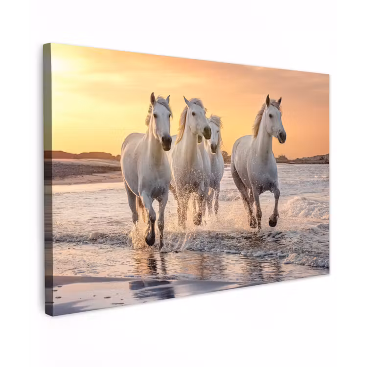 Buiten canvas - Witte paarden galopperen langs de kust — 1
