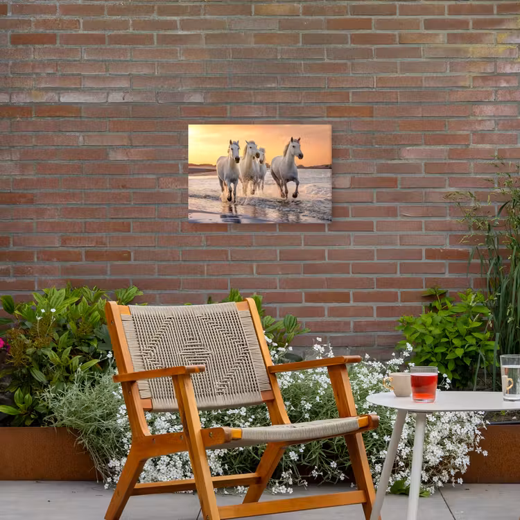 Buiten canvas - Witte paarden galopperen langs de kust — 2