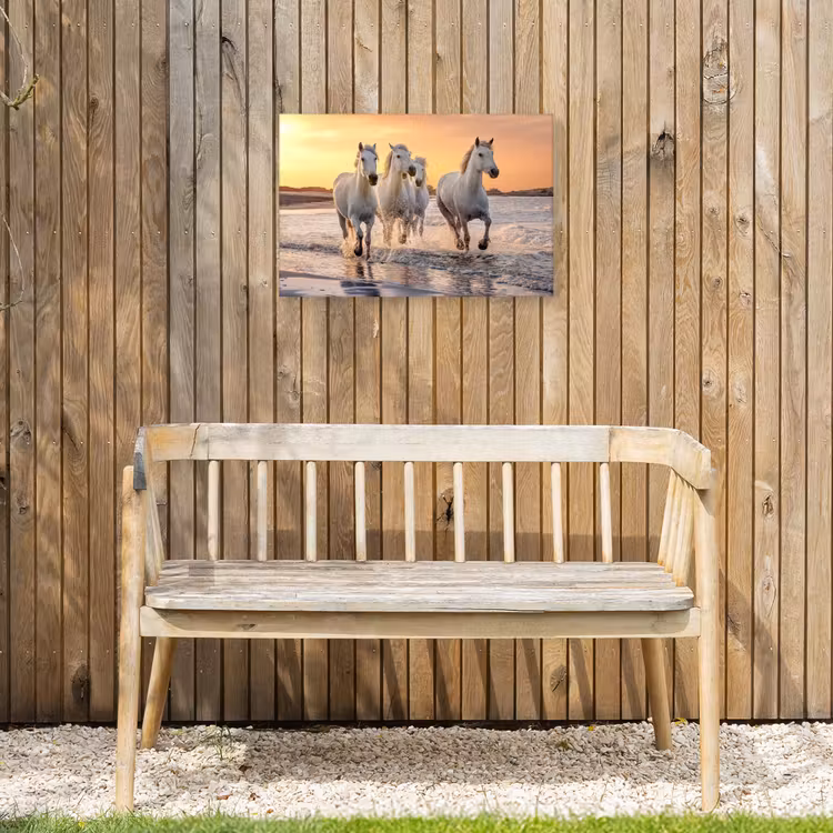 Buiten canvas - Witte paarden galopperen langs de kust — 3