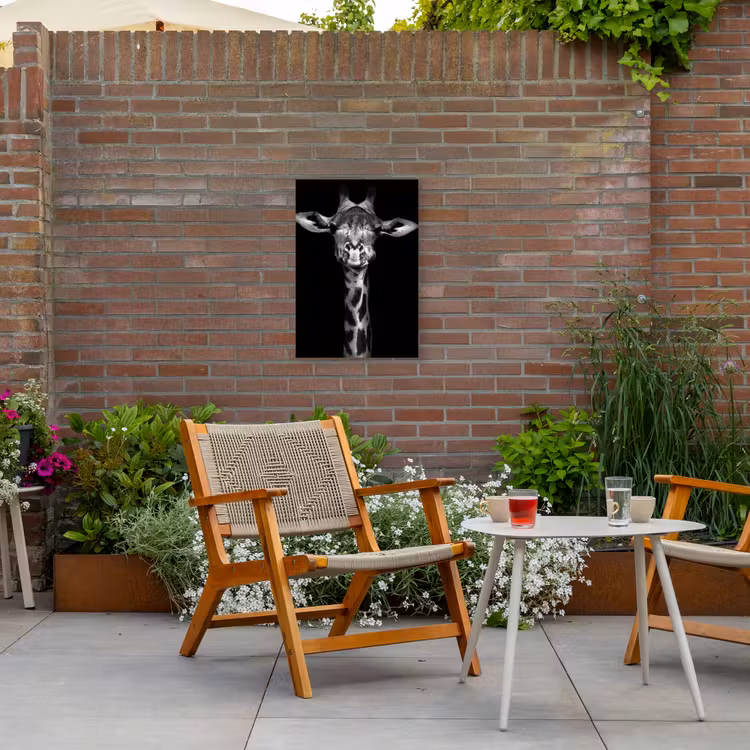 Buiten canvas - Zwart-wit portret van een giraffe — 2