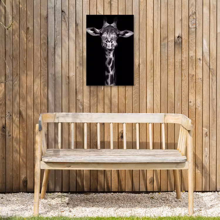 Buiten canvas - Zwart-wit portret van een giraffe — 3