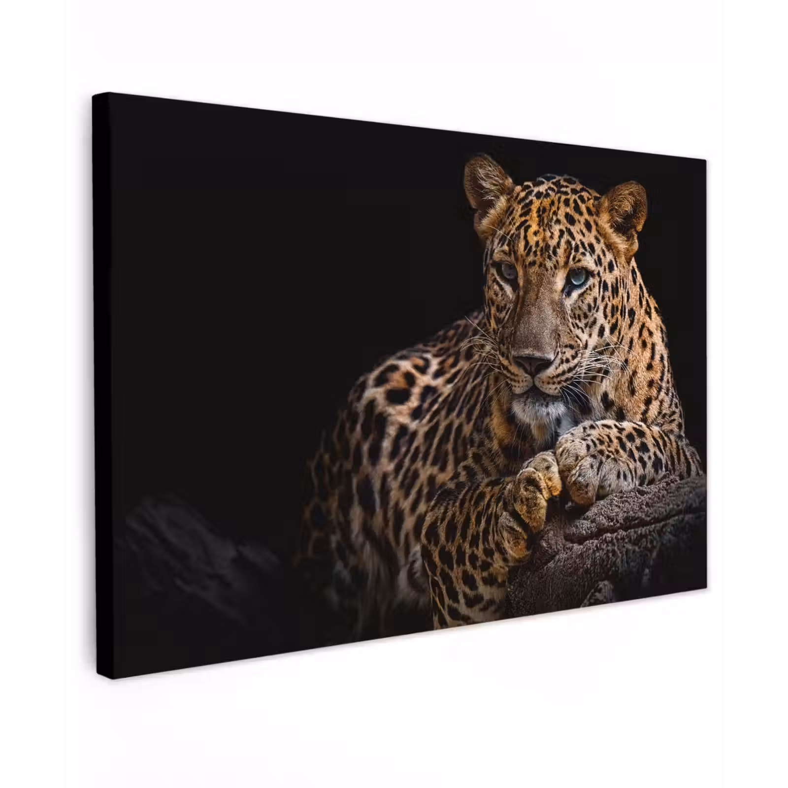 Buiten canvas - Luipaard in rust — 1