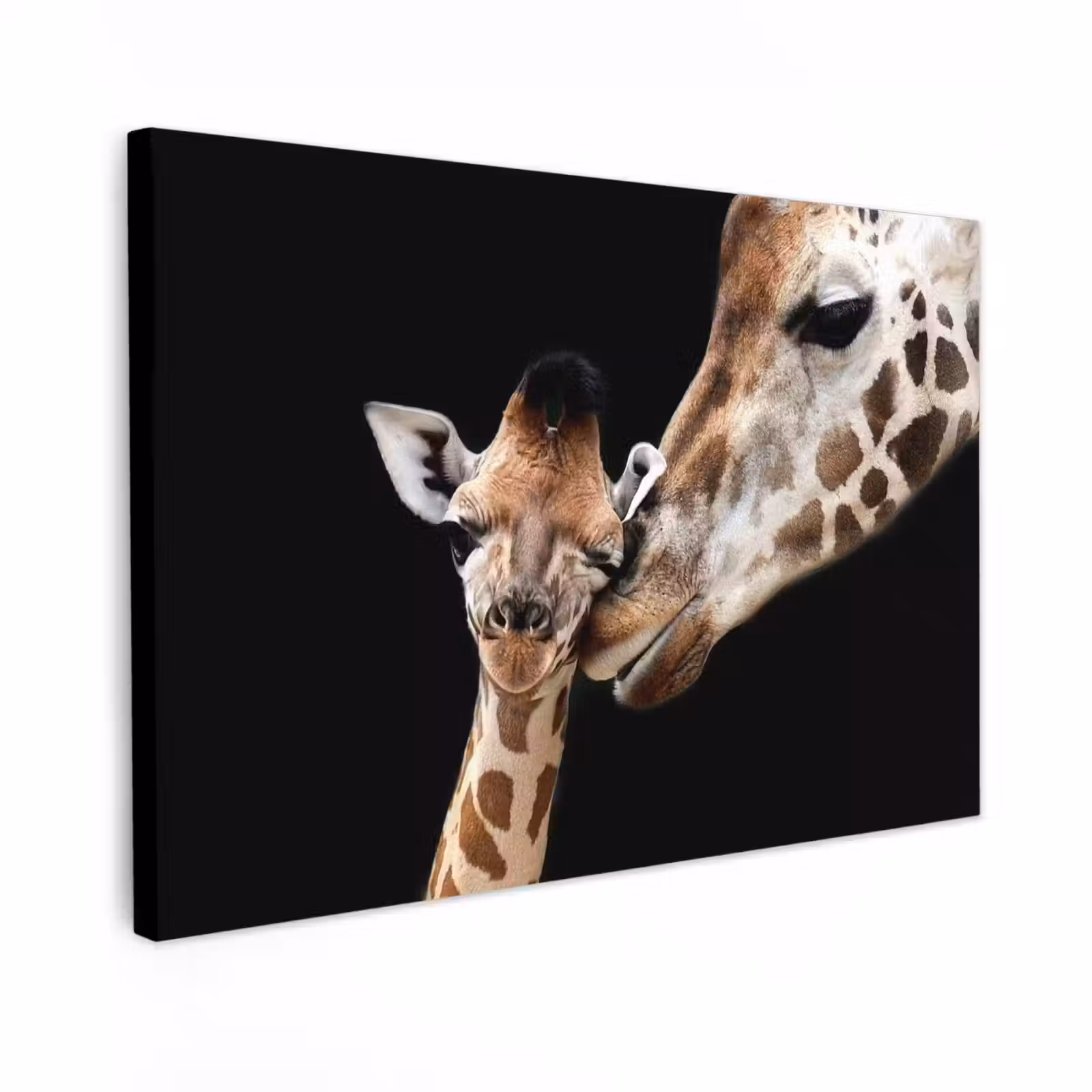 Buiten canvas - Moederlijke tederheid bij giraffen — 1