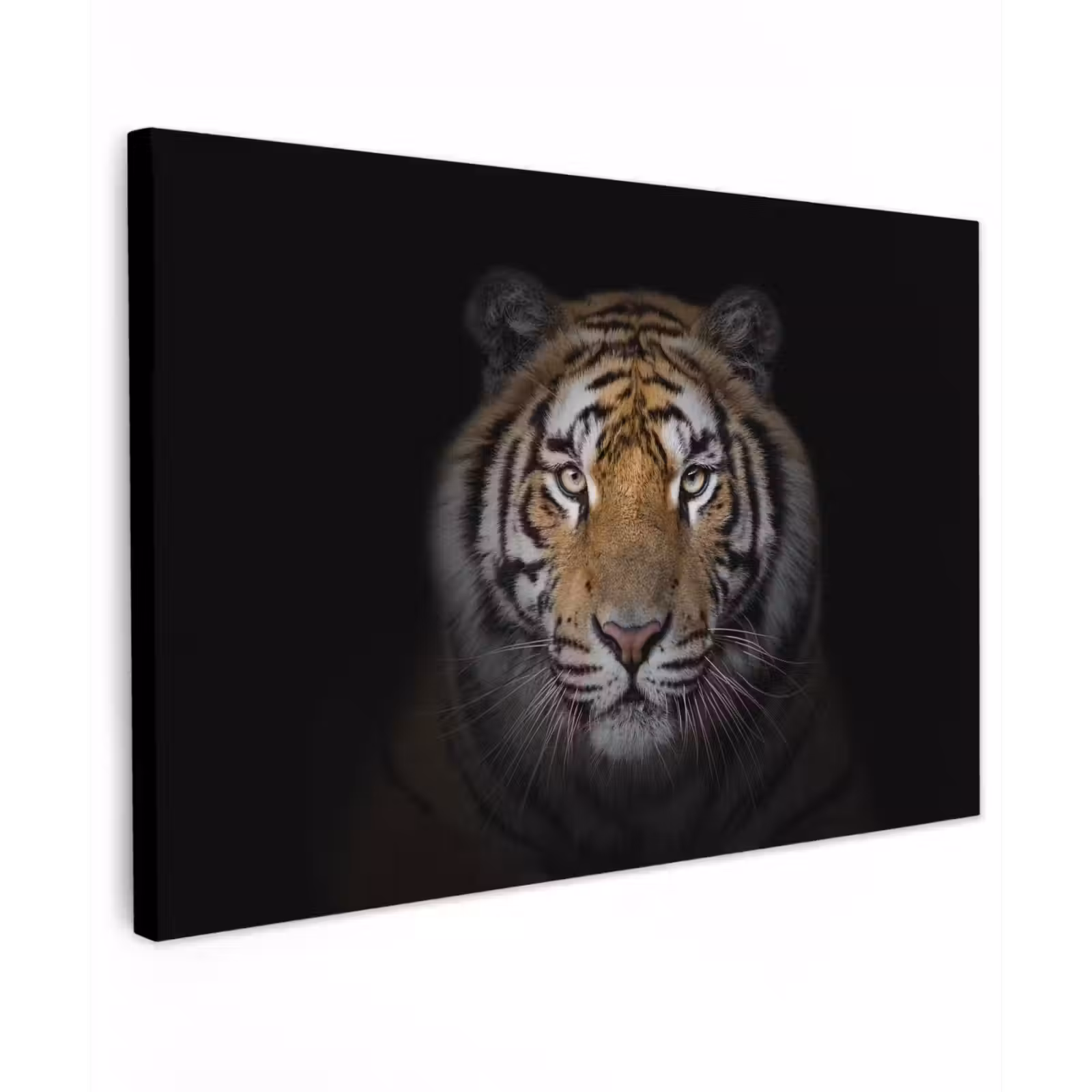 Buiten canvas - Tijger in de schaduw — 1