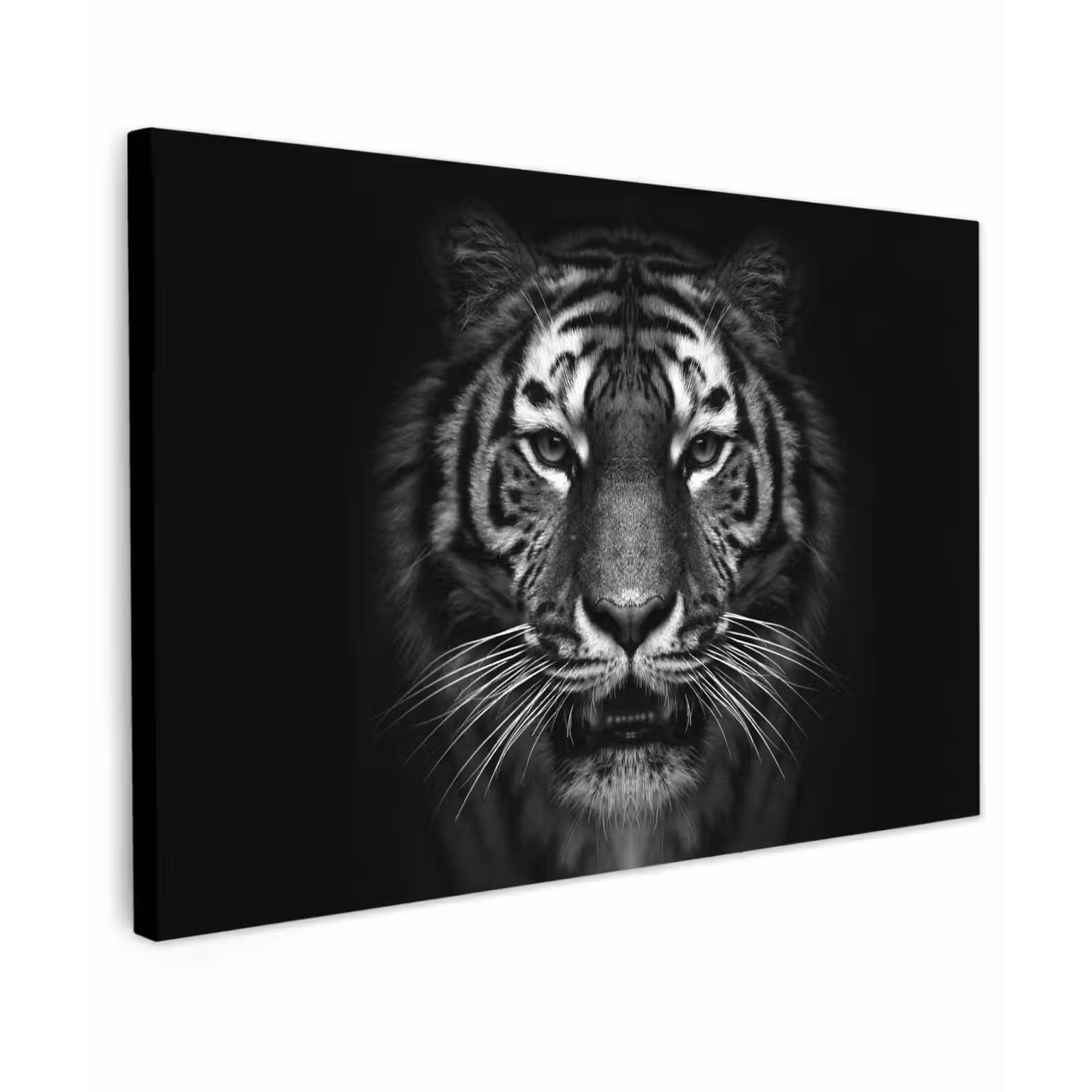 Buiten canvas - Tijger in het zwart-wit — 1