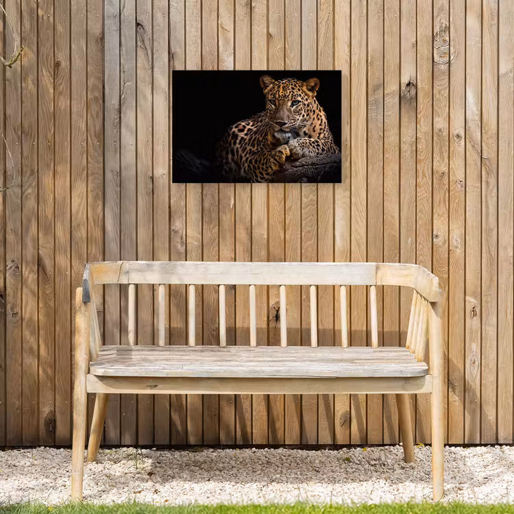 Buiten canvas - Luipaard in rust — 3
