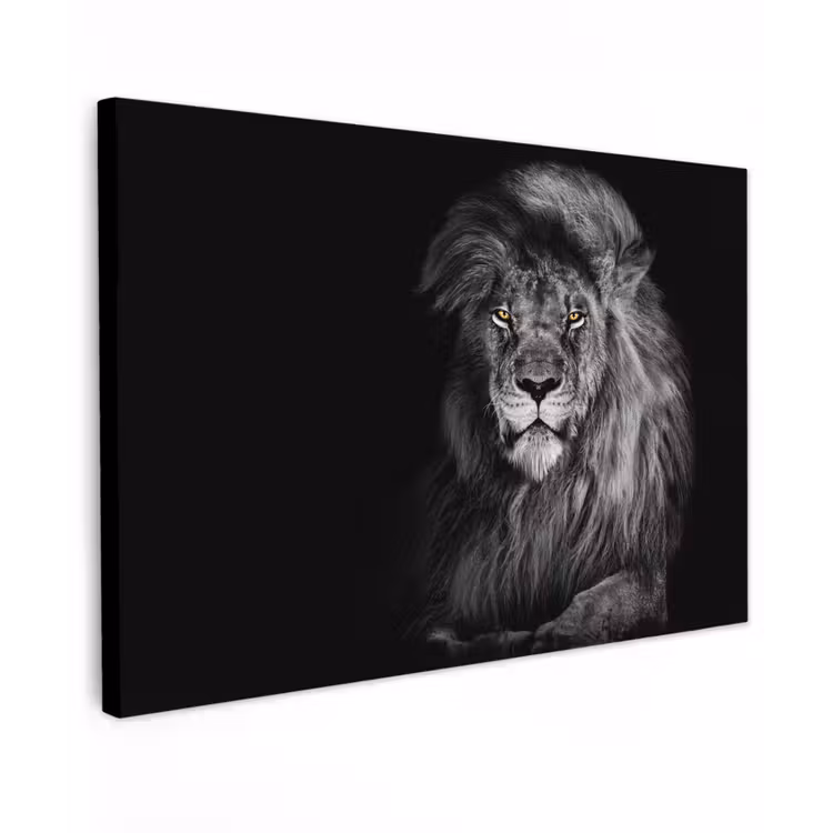 Buiten canvas - Majestueuze leeuw in de duisternis — 1