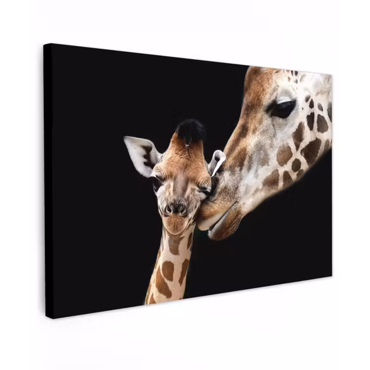 Buiten canvas - Moederlijke tederheid bij giraffen — 1