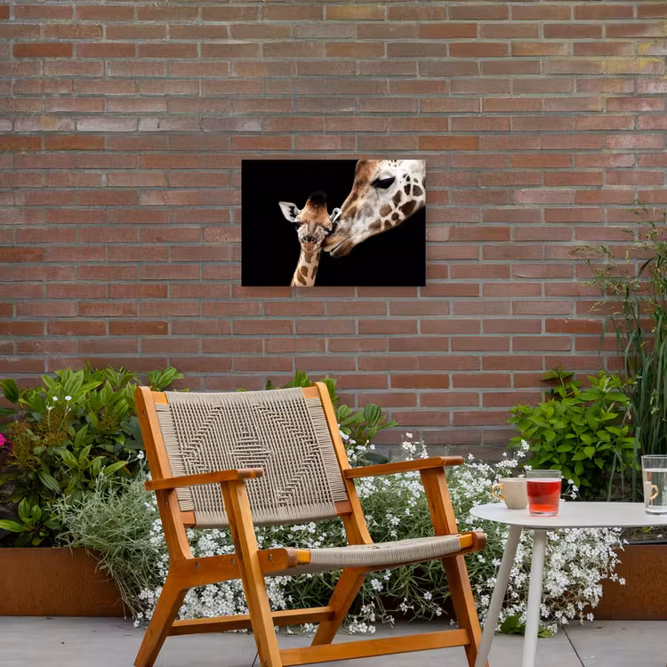 Buiten canvas - Moederlijke tederheid bij giraffen — 2