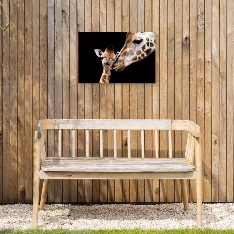 Buiten canvas - Moederlijke tederheid bij giraffen — 3