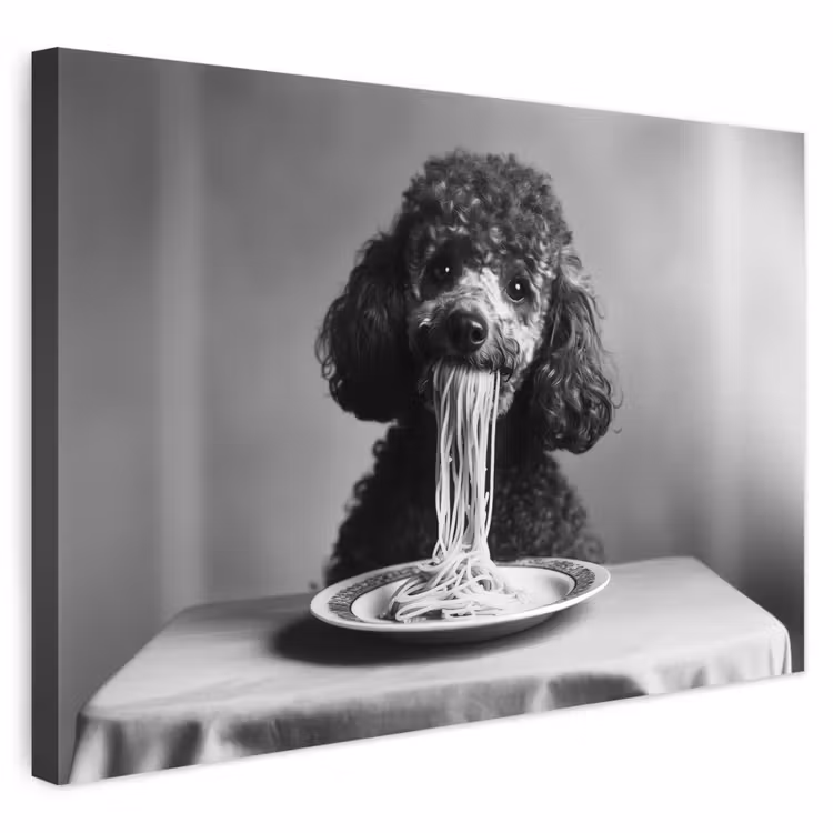 Buiten canvas - Poedel - Hond - Zwart - Wit - Schattig - Pasta — 1