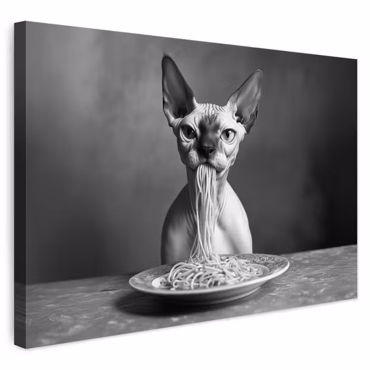 Buiten canvas - Sphynx - Kat - Dieren - Humor - Spaghetti - Zwart Wit — 1