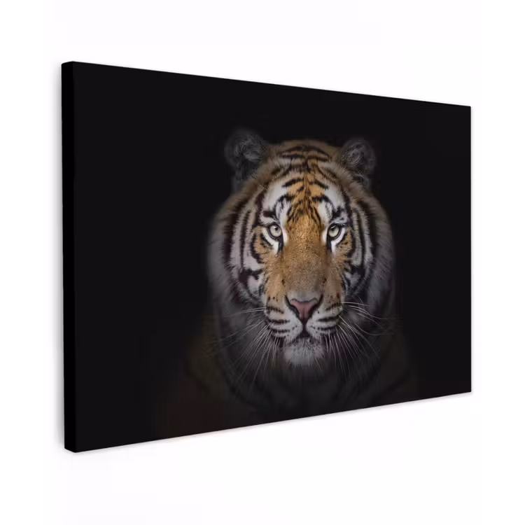 Buiten canvas - Tijger in de schaduw — 1