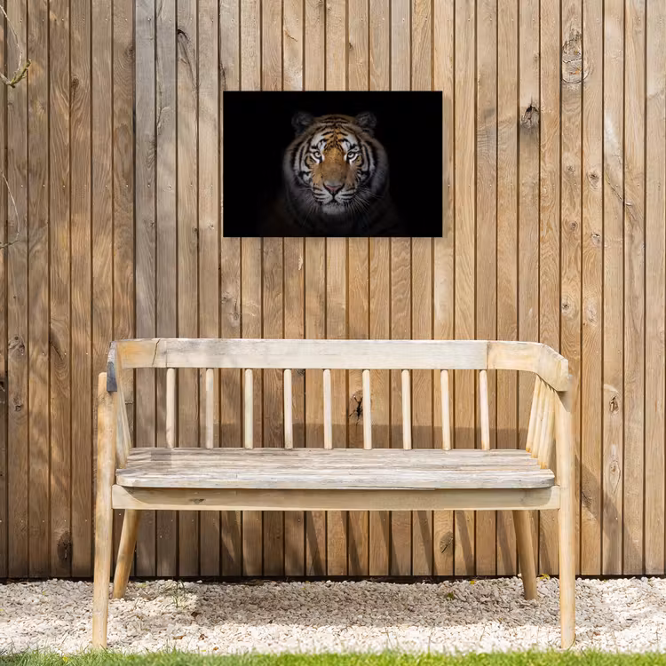 Buiten canvas - Tijger in de schaduw — 3
