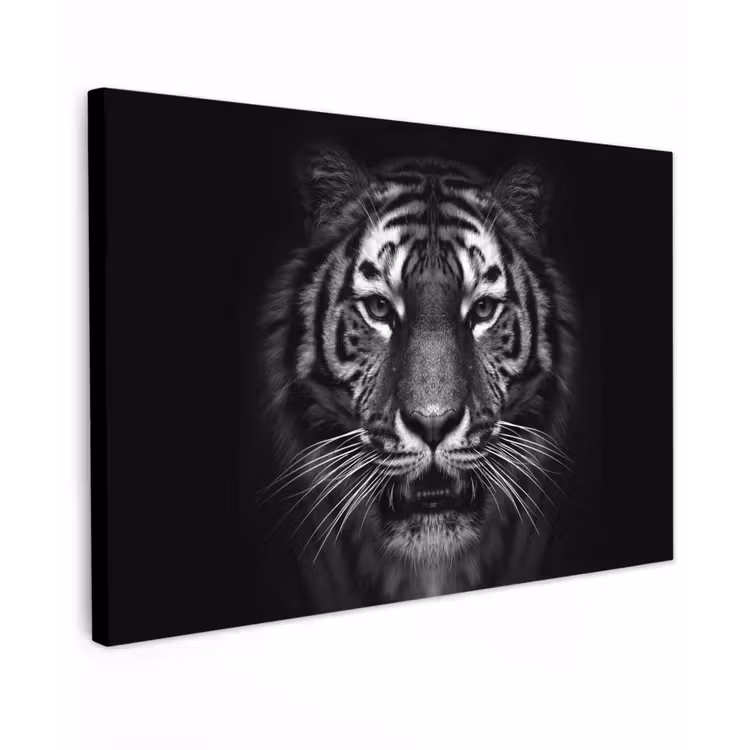 Buiten canvas - Tijger in het zwart-wit — 1