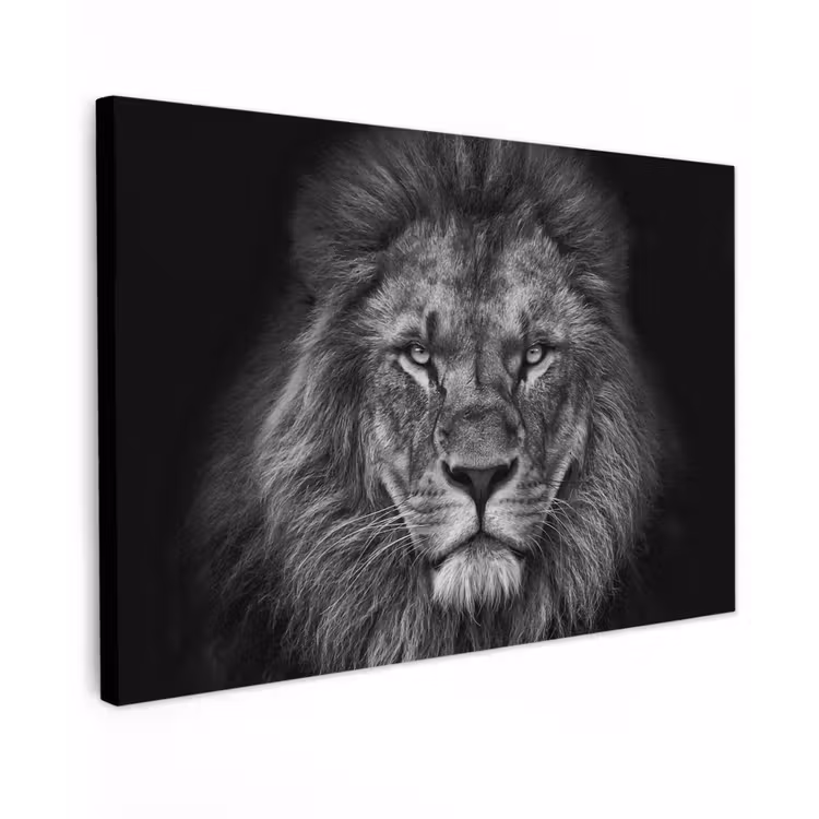 Buiten canvas - Zwart-wit portret van een leeuw — 1
