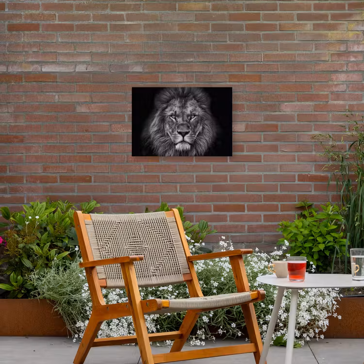 Buiten canvas - Zwart-wit portret van een leeuw — 2
