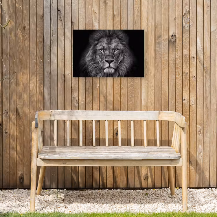 Buiten canvas - Zwart-wit portret van een leeuw — 3