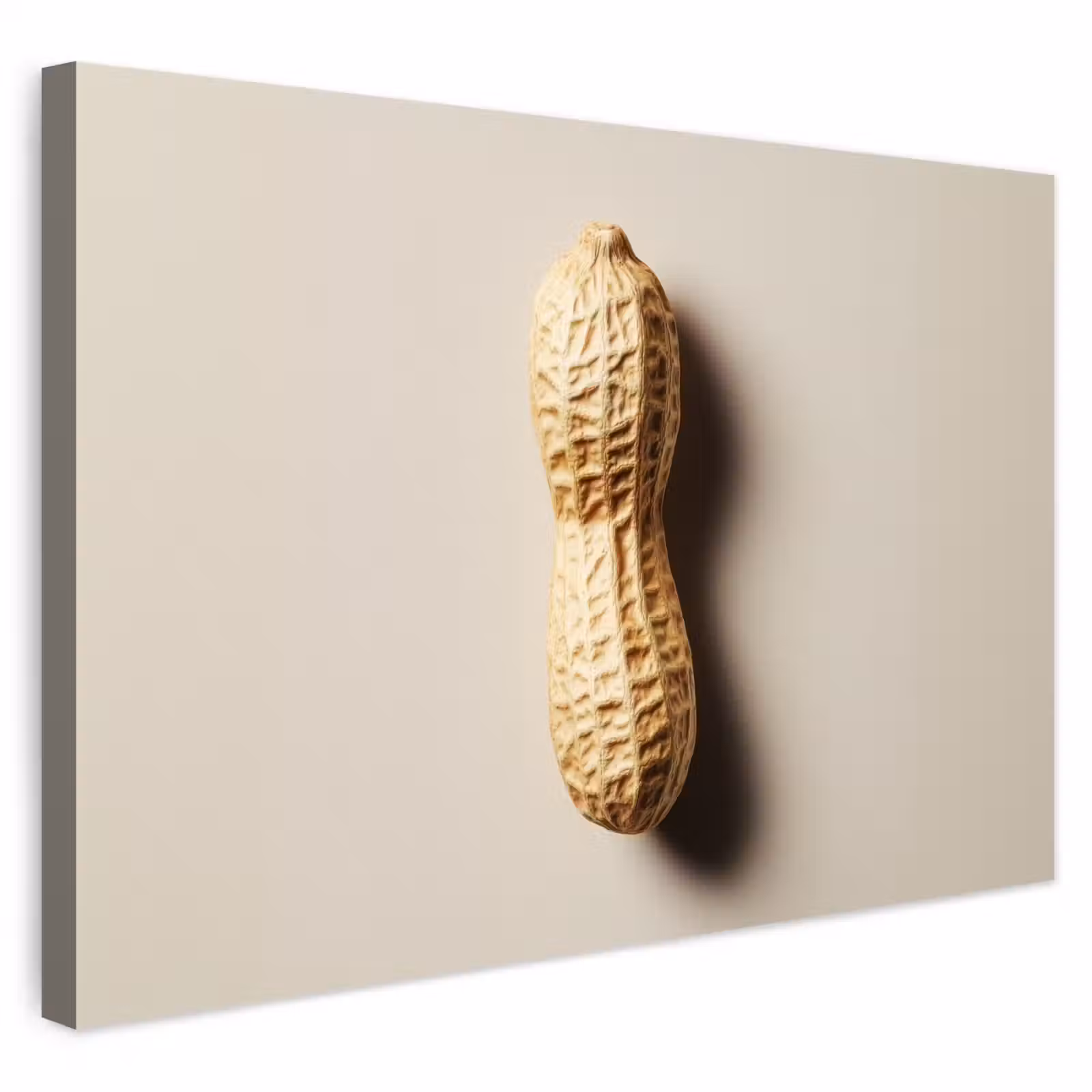 Buiten canvas - Pinda - Ruw - Beige — 1