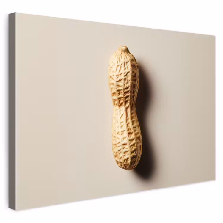 Buiten canvas - Pinda - Ruw - Beige — 1