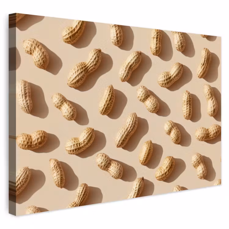 Buiten canvas - Pinda's - Patroon - Beige — 1