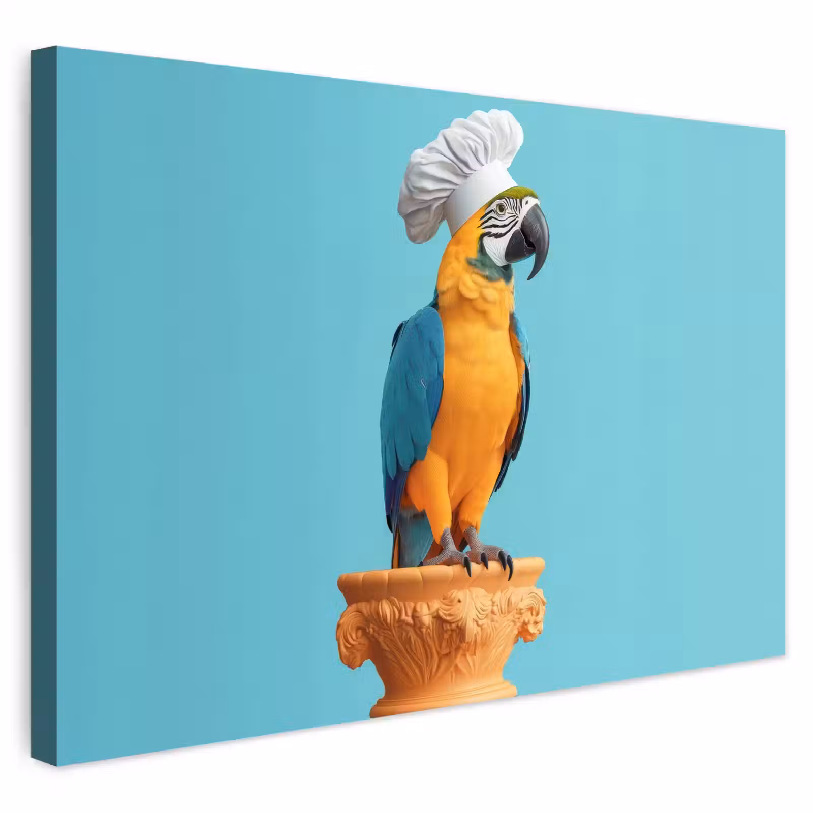 Buiten canvas - Papegaai - Koksmuts - Grappig - Vogel — 1