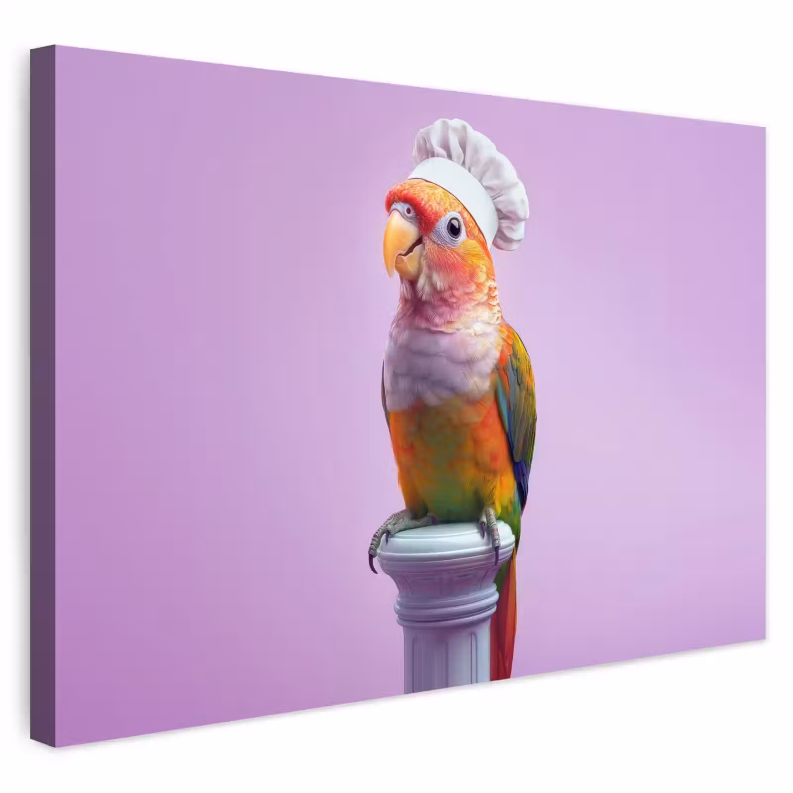 Buiten canvas - Papegaai - Koksmuts - Pilaar - Vogel — 1