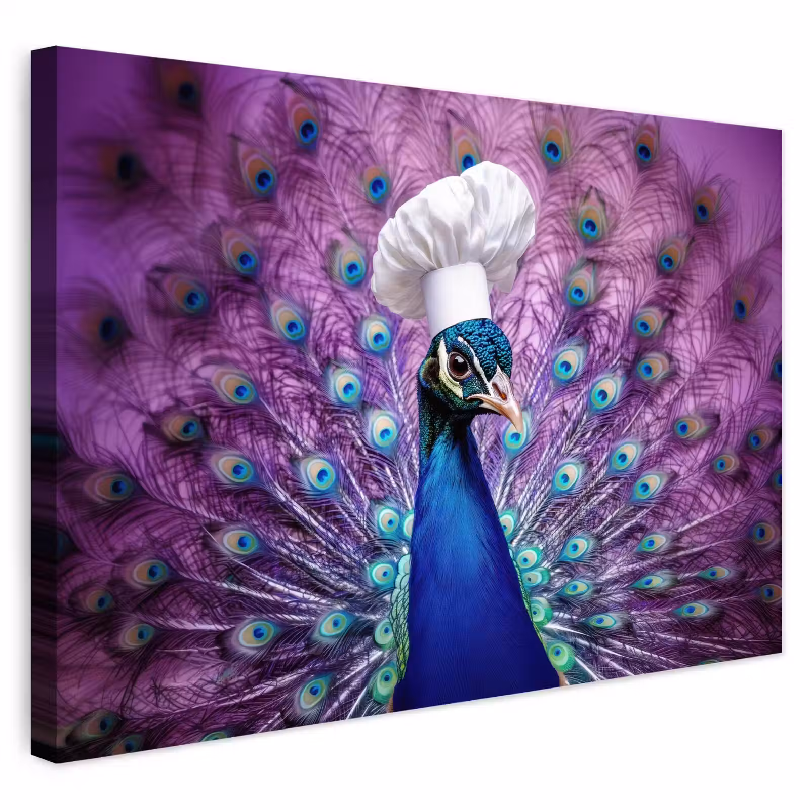 Buiten canvas - Pauw - Koksmuts - Cool - Paars — 1