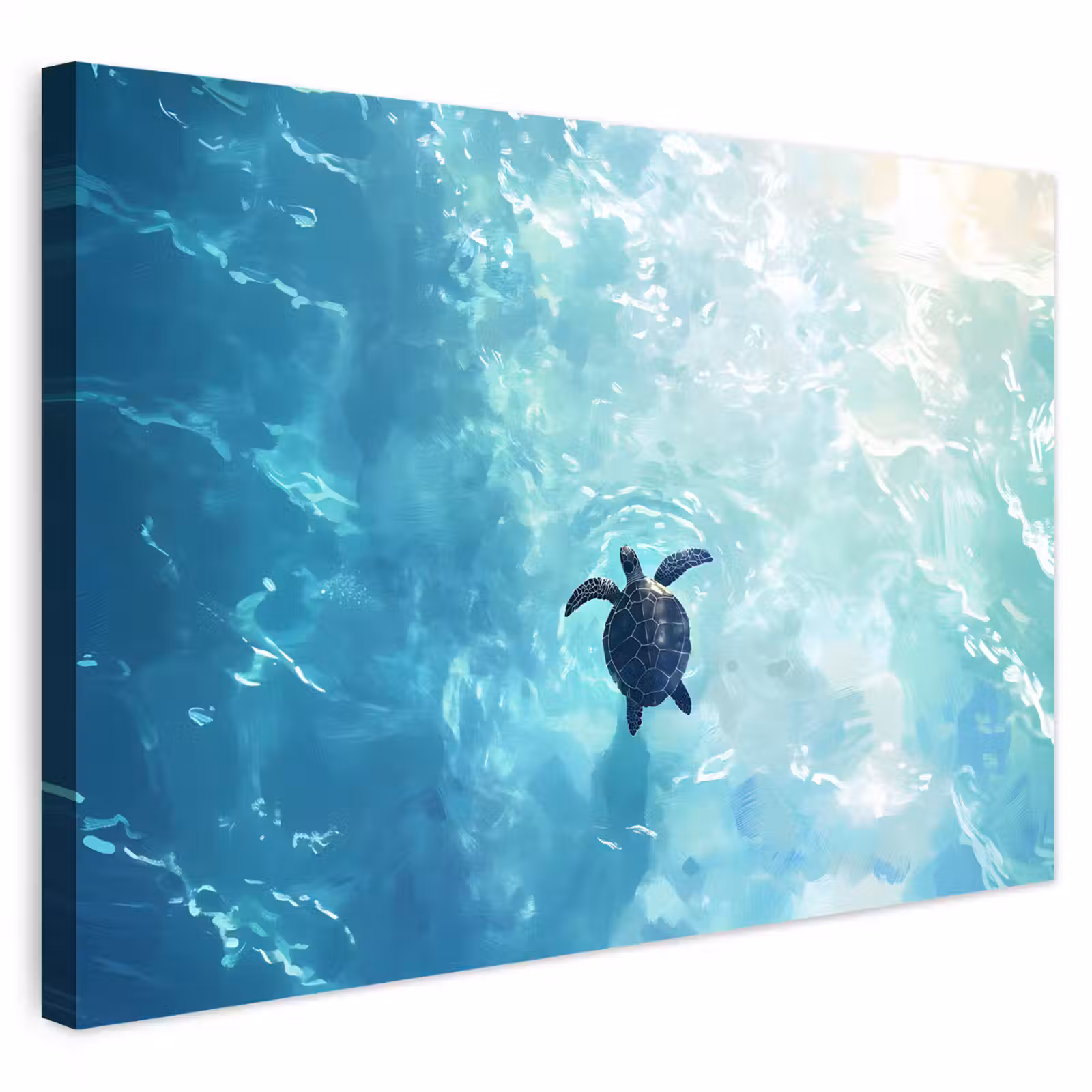 Buiten canvas - Schildpad - Zee - Blauw - Schittering — 1