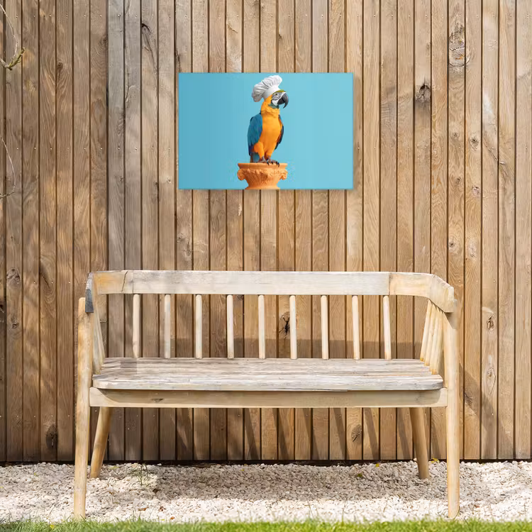 Buiten canvas - Papegaai - Koksmuts - Grappig - Vogel — 3