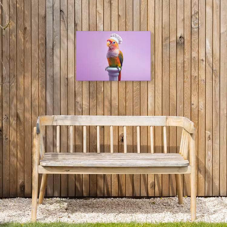 Buiten canvas - Papegaai - Koksmuts - Pilaar - Vogel — 3