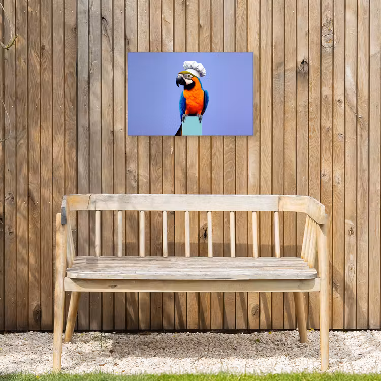 Buiten canvas - Papegaai - Koksmuts - Vogel - Leuk — 3