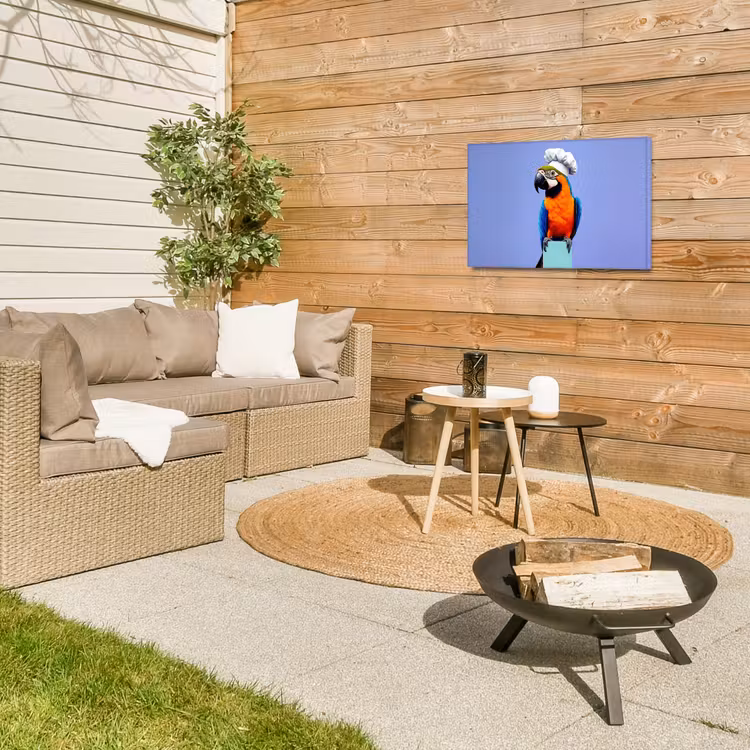 Buiten canvas - Papegaai - Koksmuts - Vogel - Leuk — 5